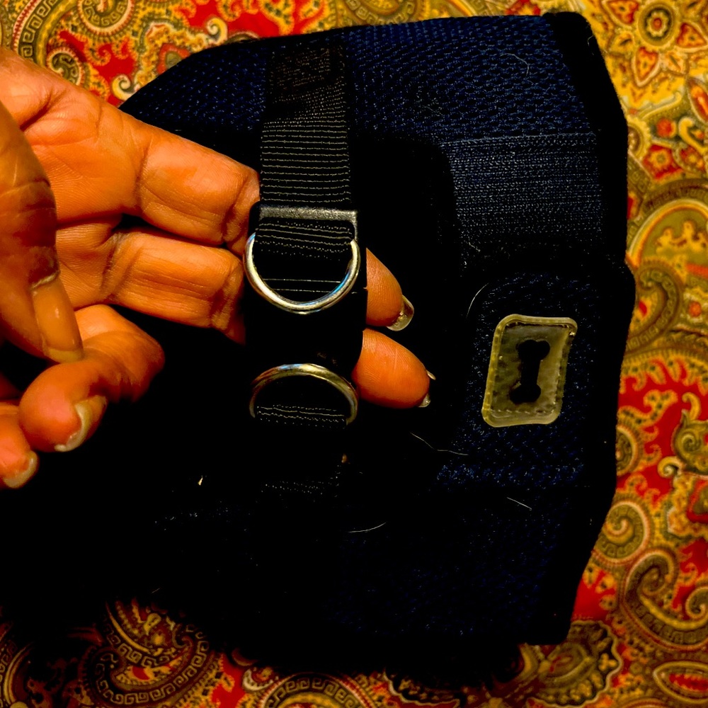 Dog harness